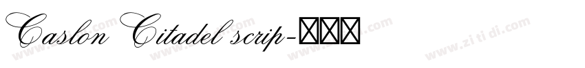 Caslon Citadel scrip字体转换